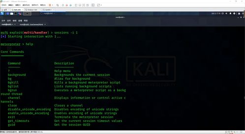 網(wǎng)絡(luò)安全滲透中的客戶端惡意軟件開發(fā) Windows與Linux平臺(tái)